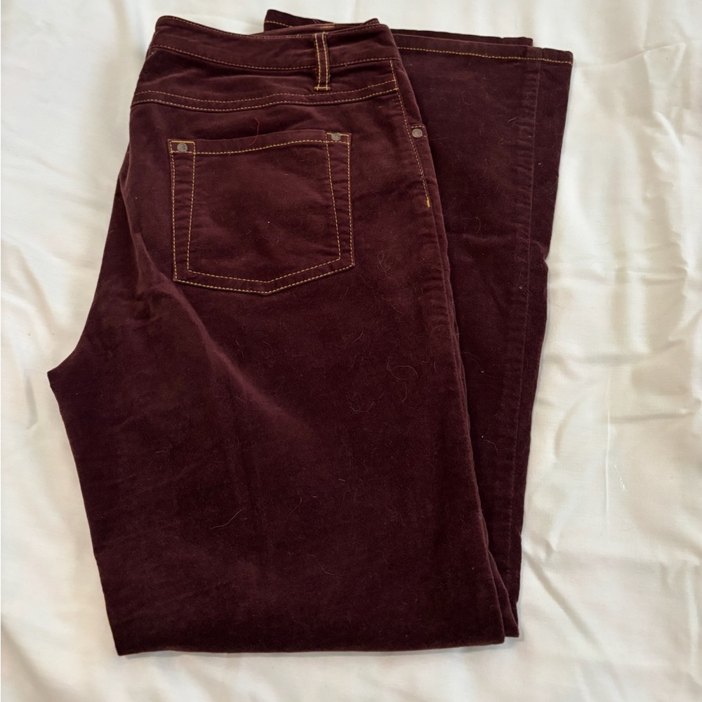 CAbi Burgundy velvet jeans